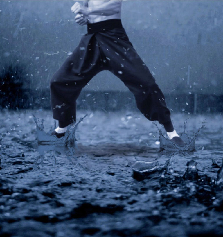 IT ninja IT ninja